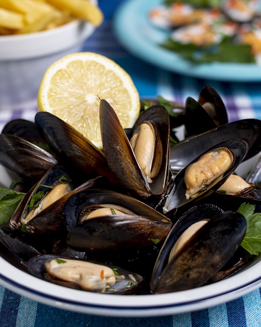 close-up-delicious-mussel-shells